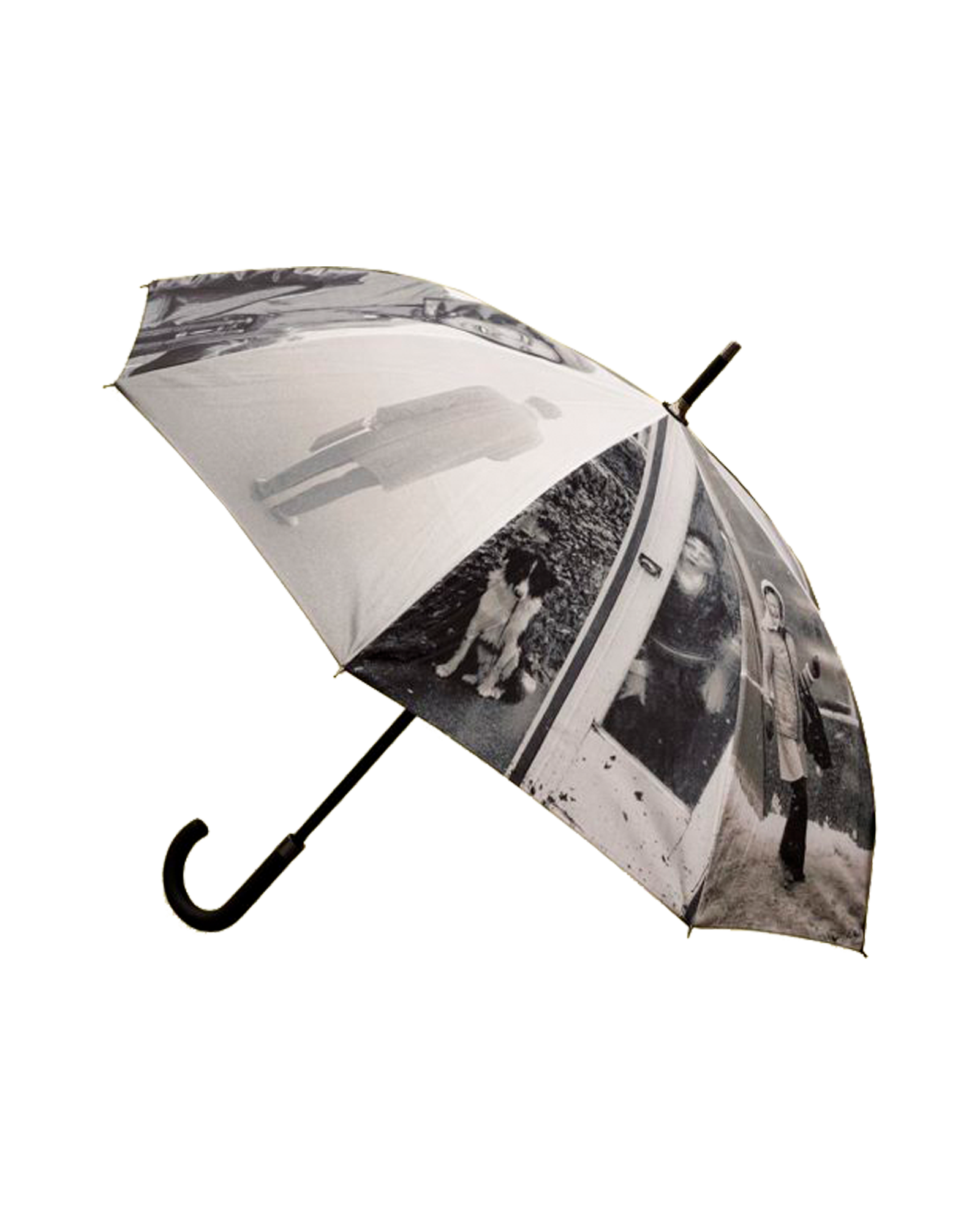 Bad Weather Umbrella