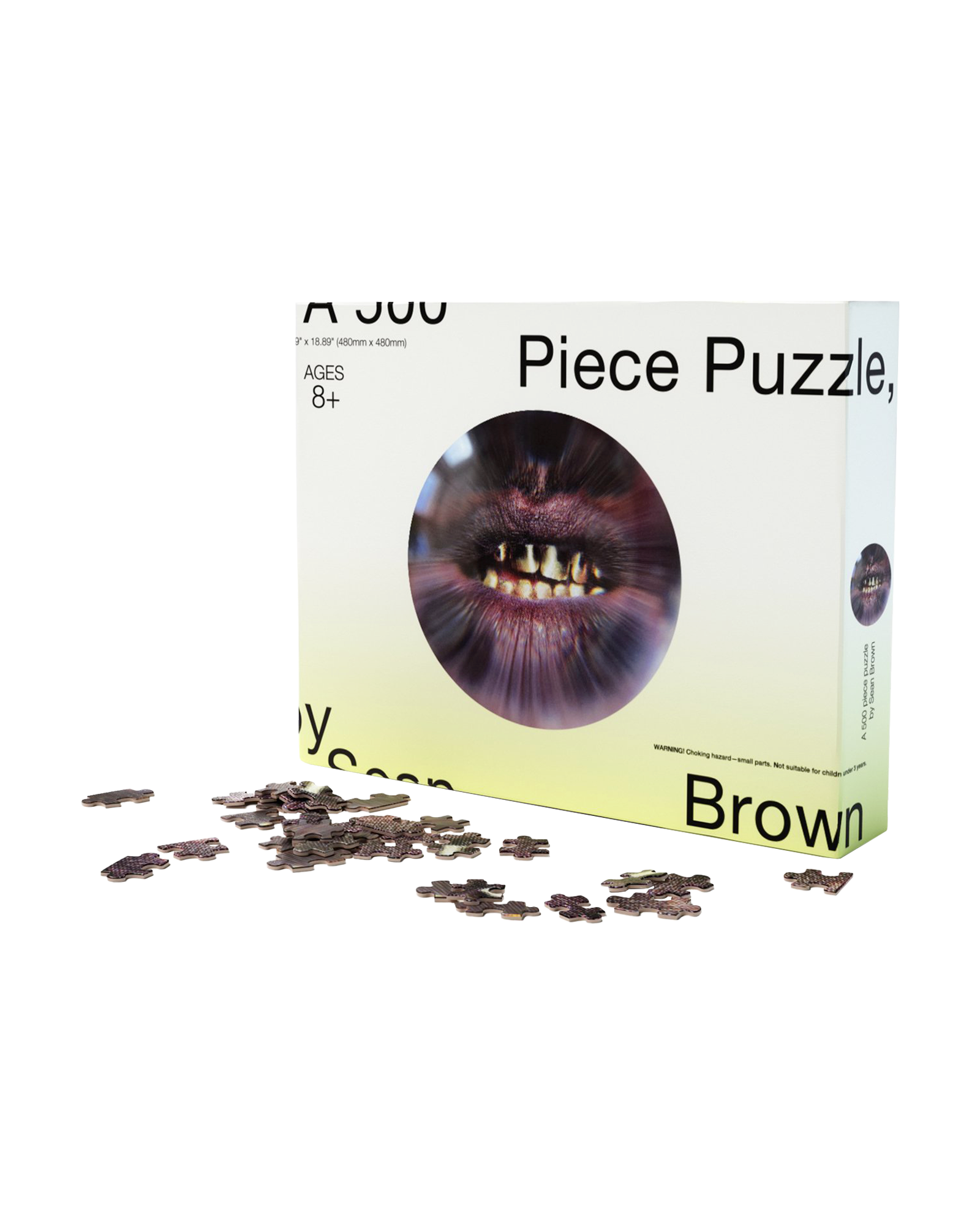 500 Piece Fisheye Puzzle (Trick)